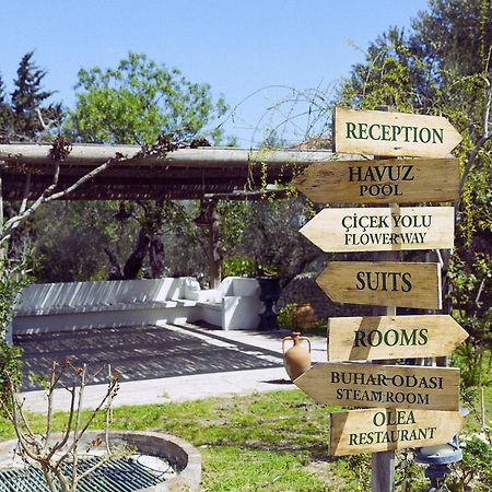 Olive Farm Of Datca Guesthouse (Adults Only) Экстерьер фото