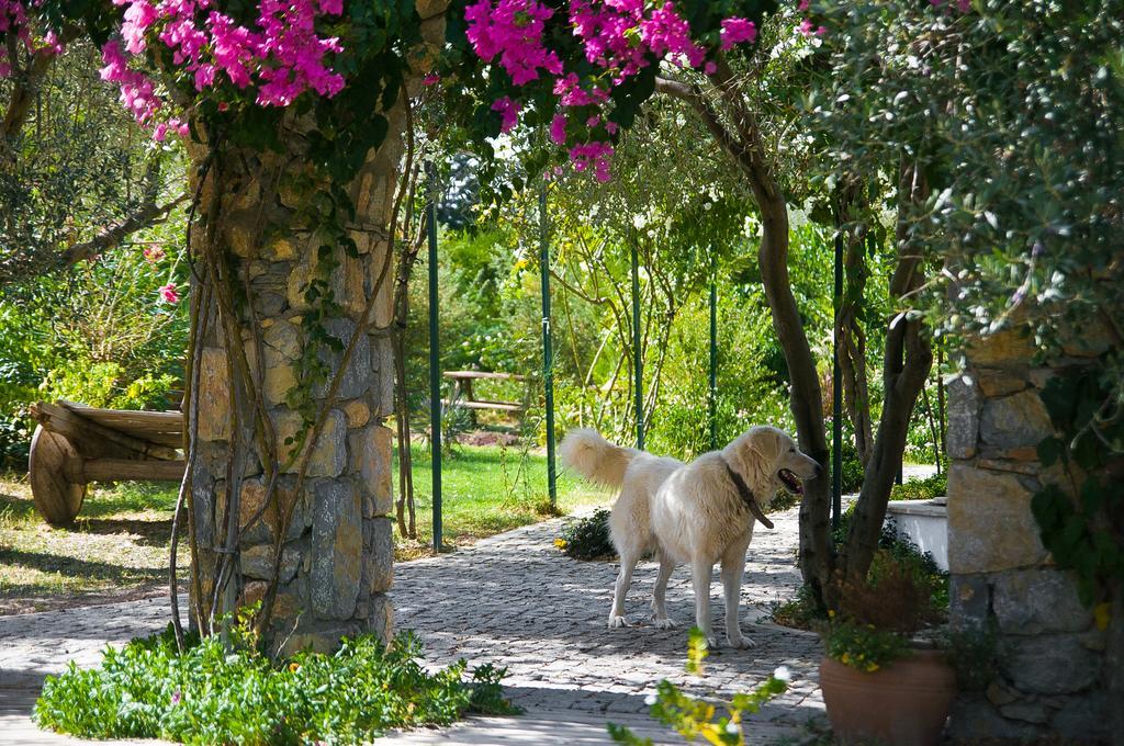 Olive Farm Of Datca Guesthouse (Adults Only) Экстерьер фото