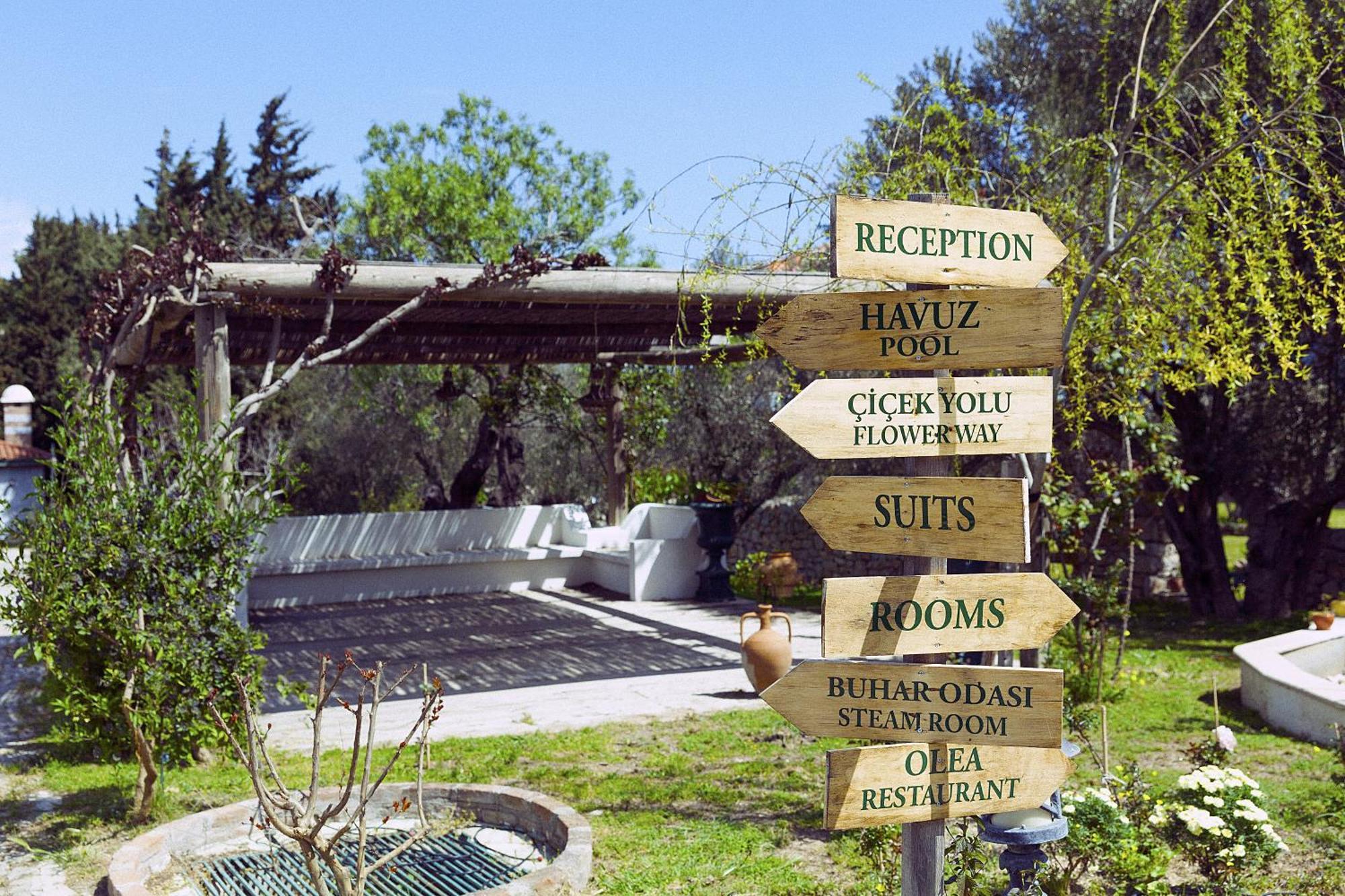 Olive Farm Of Datca Guesthouse (Adults Only) Экстерьер фото