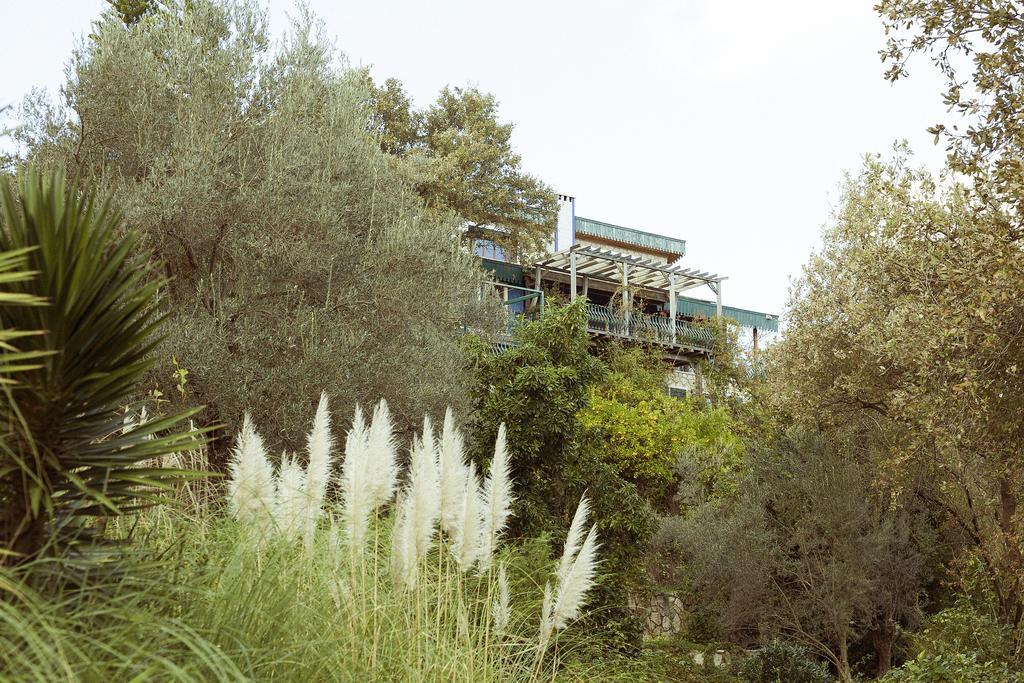 Olive Farm Of Datca Guesthouse (Adults Only) Экстерьер фото
