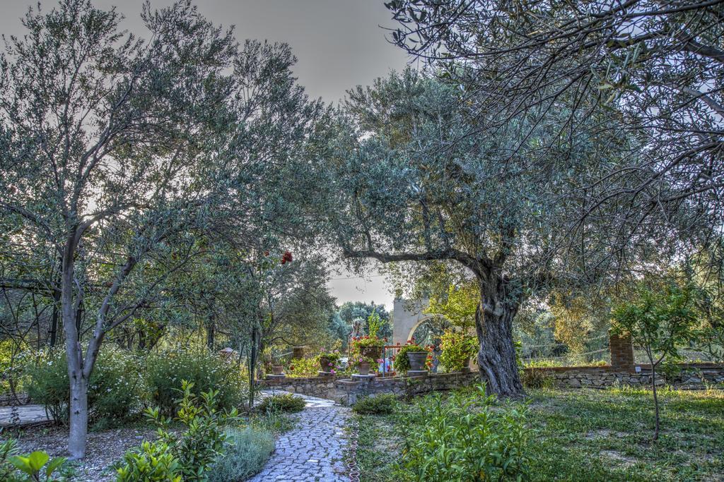 Olive Farm Of Datca Guesthouse (Adults Only) Экстерьер фото