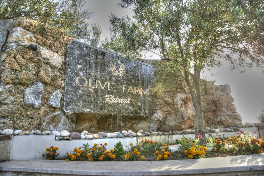 Olive Farm Of Datca Guesthouse (Adults Only) Экстерьер фото