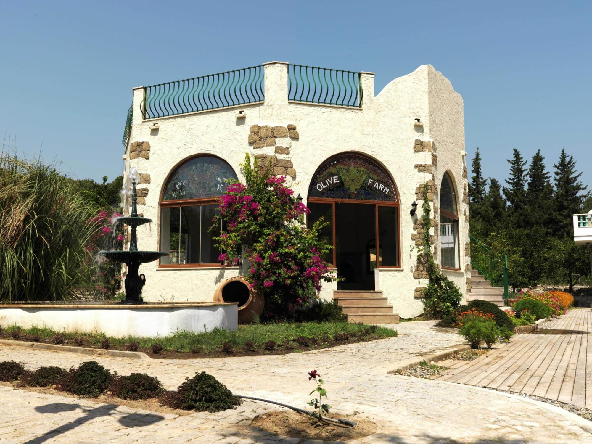Olive Farm Of Datca Guesthouse (Adults Only) Экстерьер фото