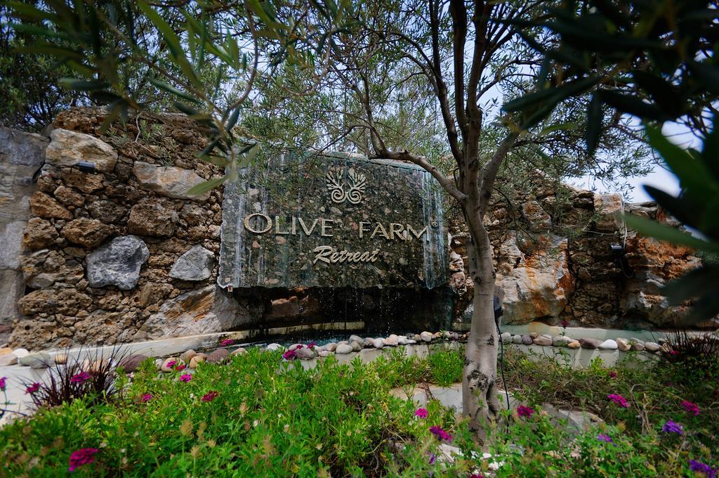 Olive Farm Of Datca Guesthouse (Adults Only) Экстерьер фото
