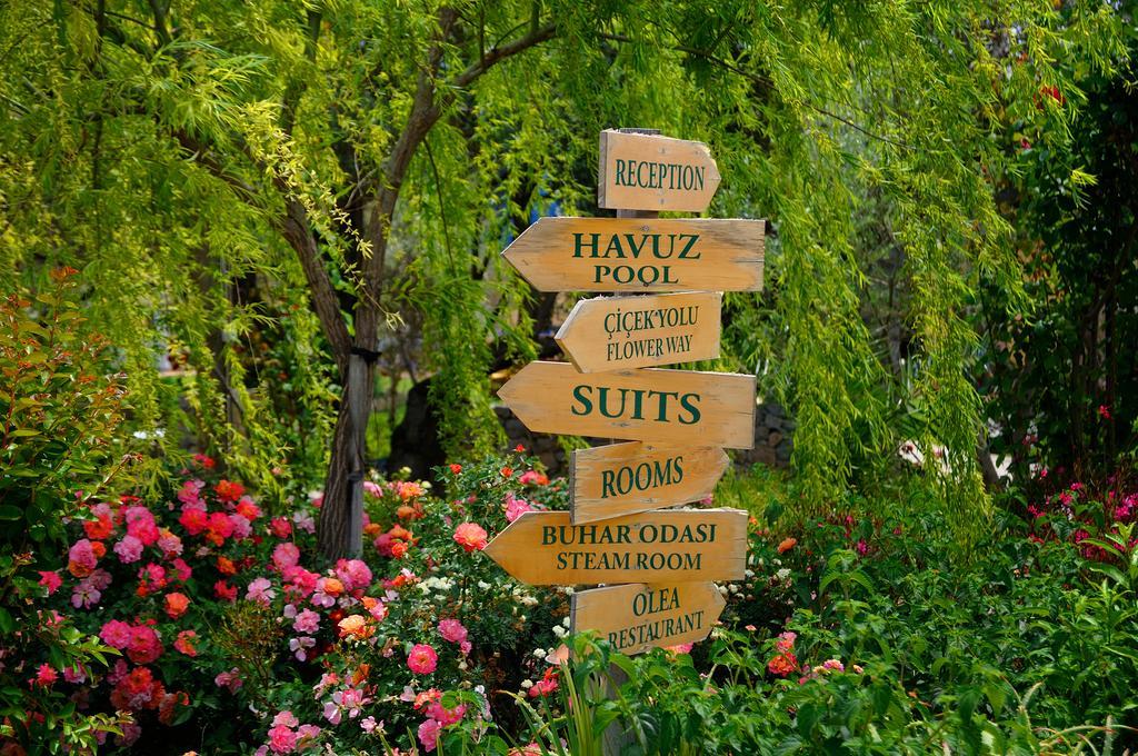 Olive Farm Of Datca Guesthouse (Adults Only) Экстерьер фото