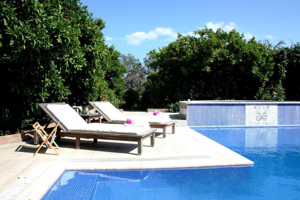 Olive Farm Of Datca Guesthouse (Adults Only) Экстерьер фото